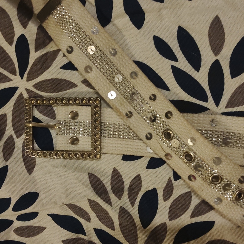 White canvas belt. Isit is embellished with silver design andseqinns